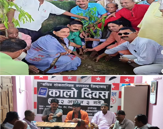 जनताले संविधान दिवश र कालो दिवश मनाए